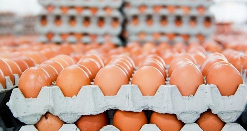 luong-trung-gia-cam-xuat-khau-chi-duoc-1-san-luong-san-xuat-1