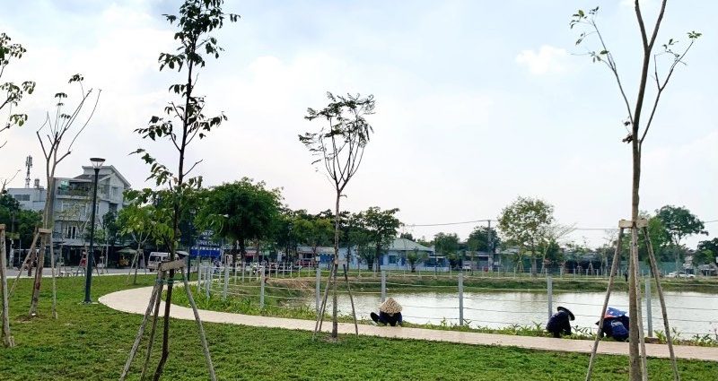 tphcm-sap-co-them-5ha-dat-cong-vien-va-2ha-mang-xanh-1