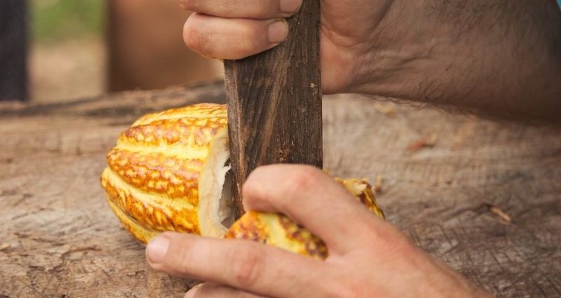 am-thuc-so-co-la-toan-cau-dang-sot-dien-ro-3