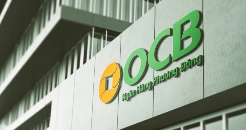 ong-nguyen-dinh-tung-tong-giam-doc-ocb-tu-nhiem-2