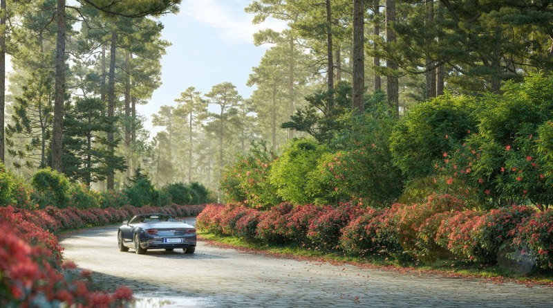 khong-gian-song-thuong-luu-giua-rung-thong-80-ha-tai-thanh-xuan-valley-vnmorningnews