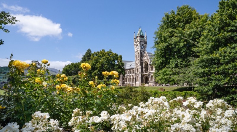 new-zealand-tang-toc-cap-phep-thuong-tru-cho-giao-vien-nuoc-ngoai-thu-moi-nhan-viec